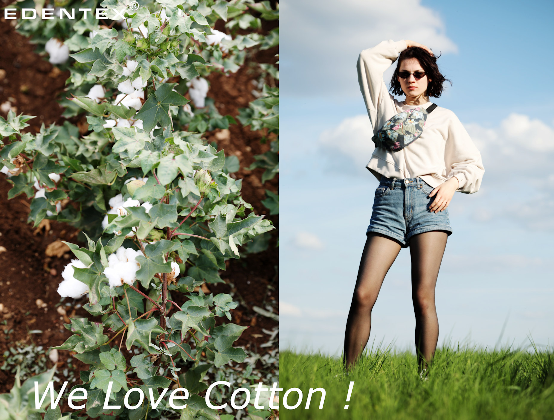 EDENTEX® knitted jersey fabrics / We Love Cotton! 