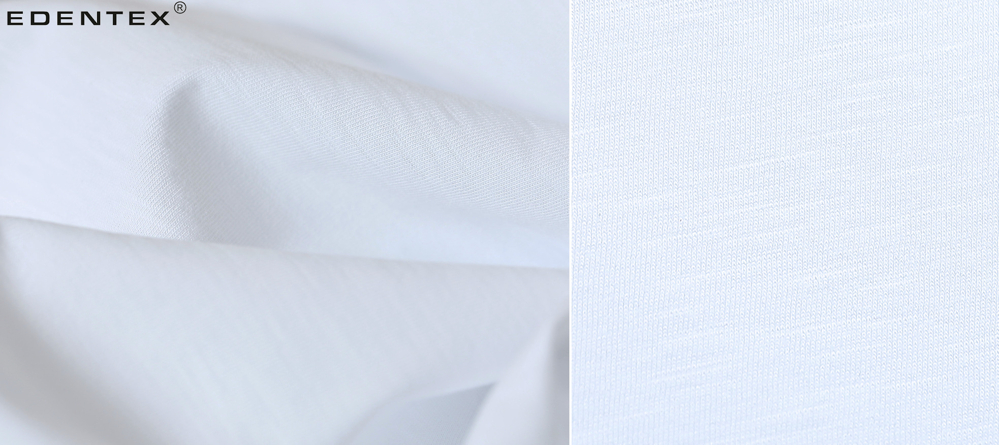 Cotton single jersey fabric / EDENTEX-PROMYK®