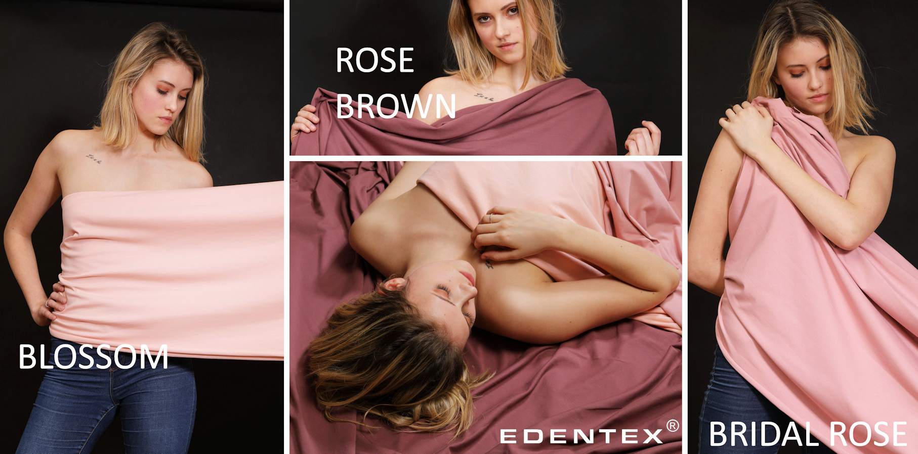 EDENTEX-MORWA® 2020 new colours