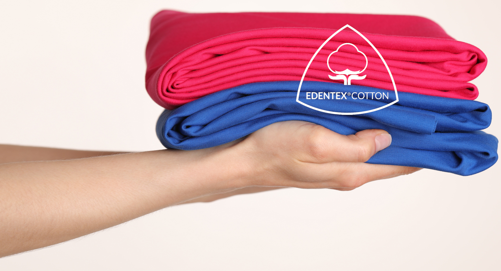 EDENTEX®COTTON / NEW COLOURS 