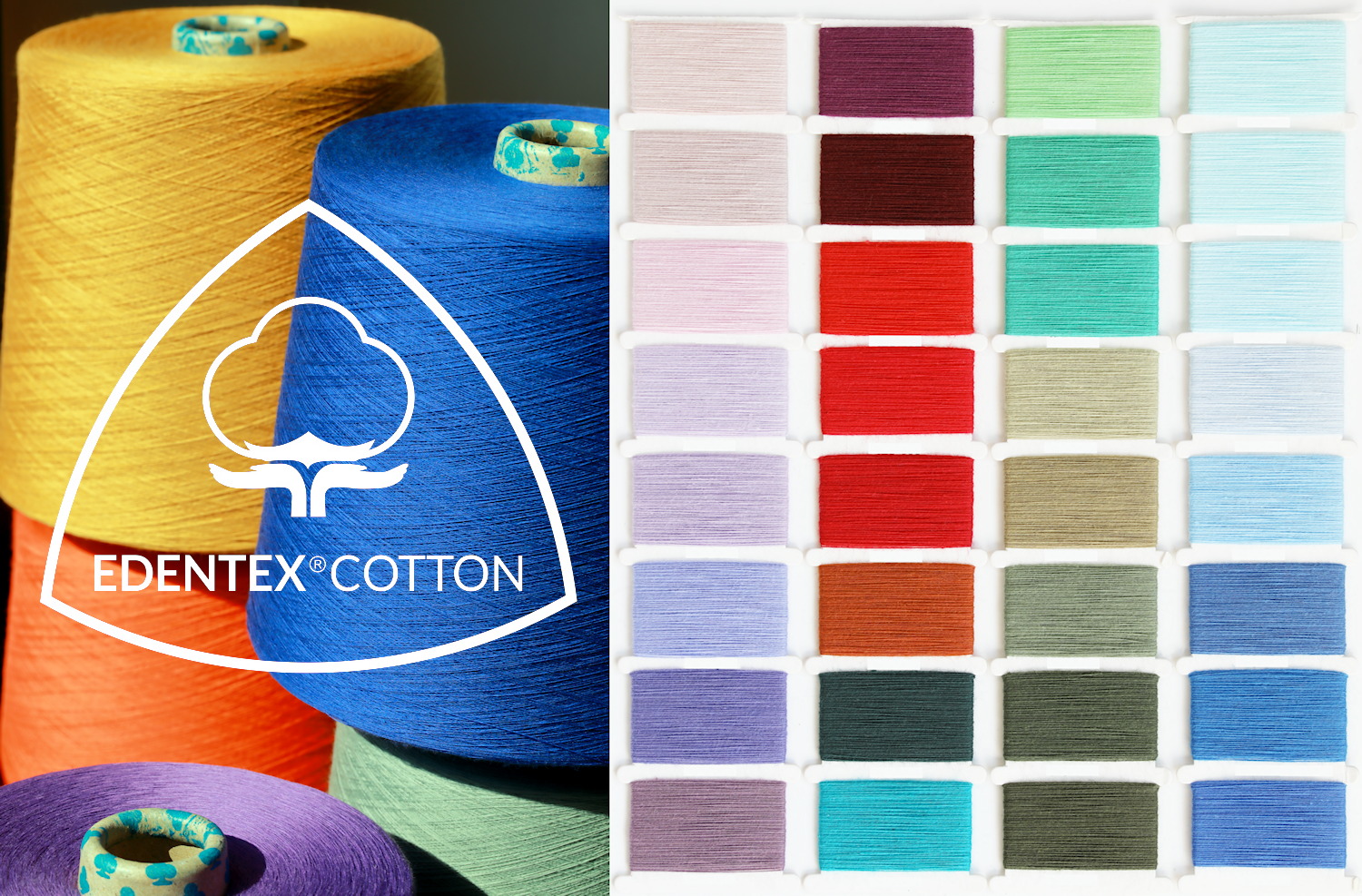 EDENTEX®COTTON: PIĘKNO Z NATURY